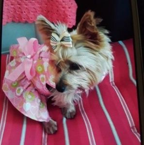 Meet your Posher, Doris